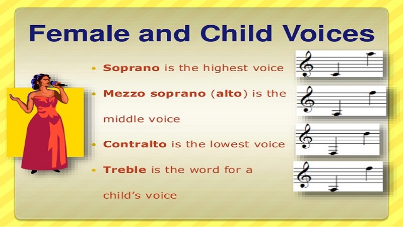 Explanation of different types of singing style Bits Of Days