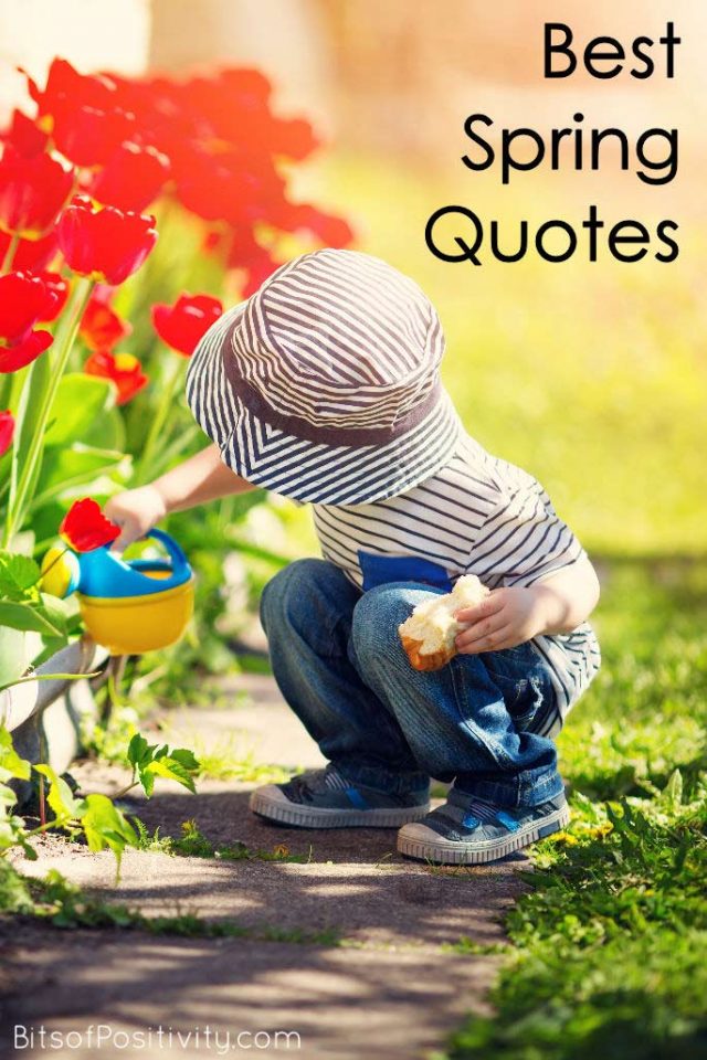 Best Spring Quotes {Favorite Seasonal Inspiration} Bits of Positivity