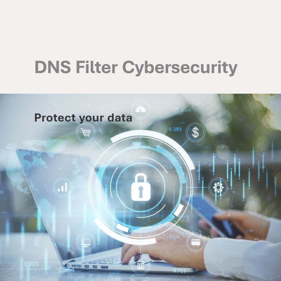 Cybersecurity using DNS filtering Bitspace Business Solutions