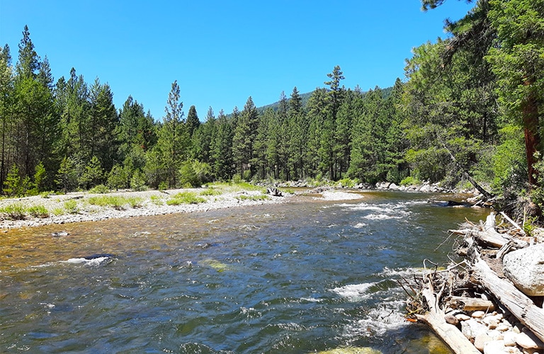 The Bitterroot River Bitterroot Info