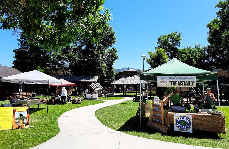 Darby, MT Bitterroot Info