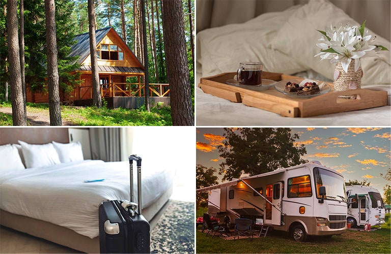 The Bitterroot Valley Bitterroot Info