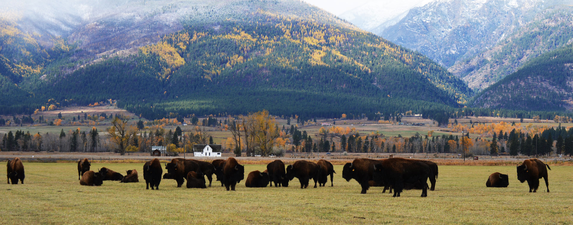 Home Bitterroot Valley Chamber of Commerce