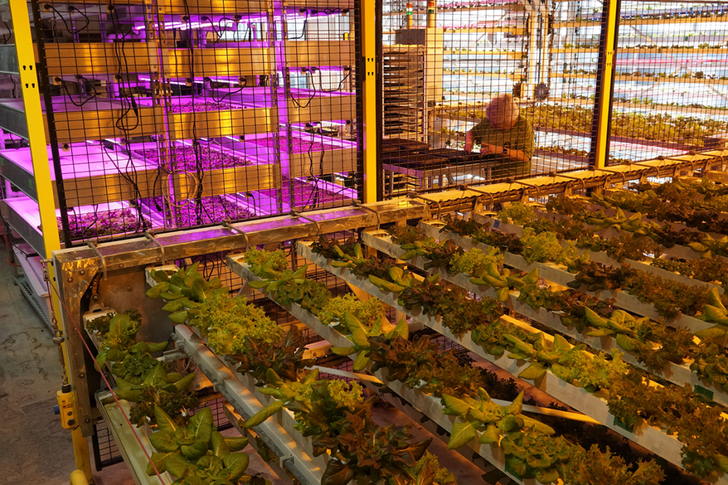 This Wyoming Greenhouse is a Place for Employees with Disabilities to