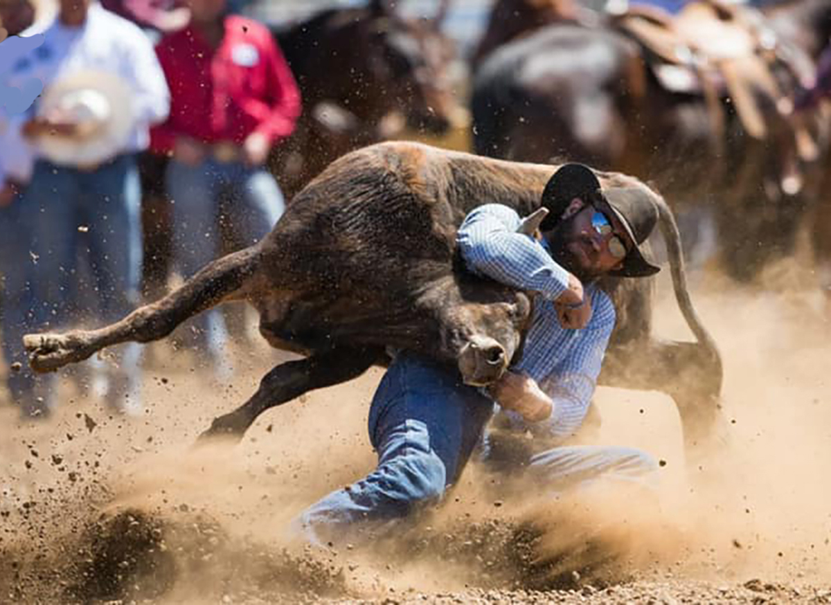Ride of a lifetime Chambers to compete in National Finals Rodeo