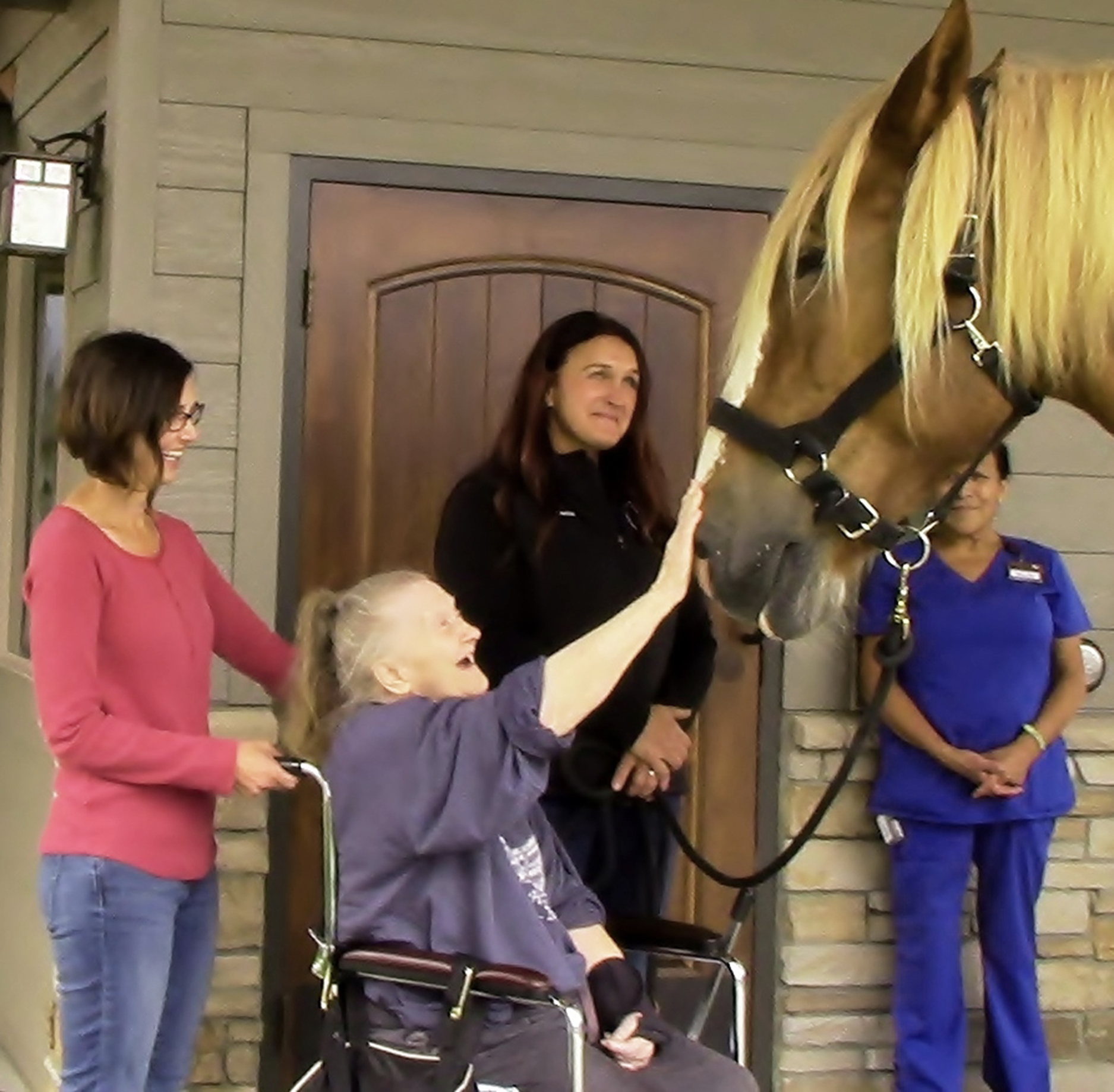 Rescued draft horse gets new job Bitterroot Star