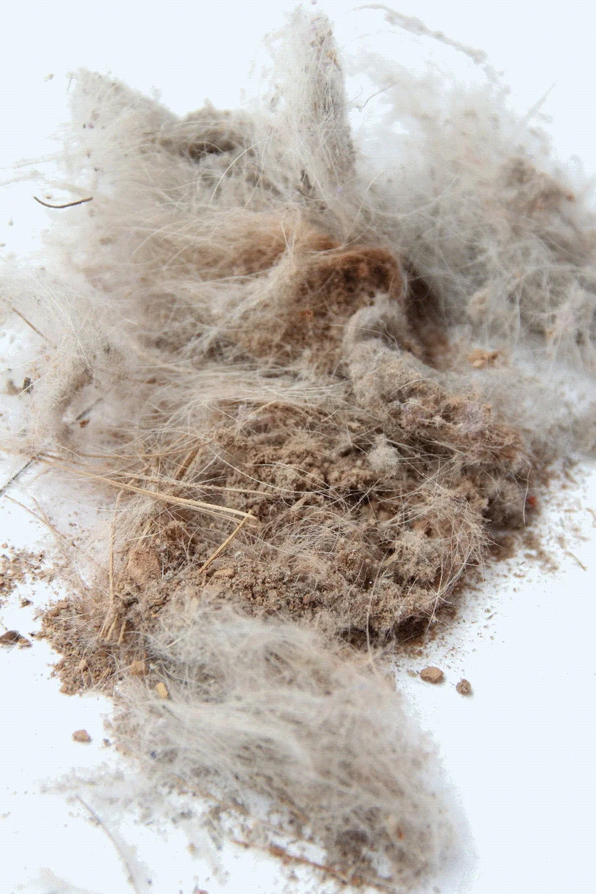 5 Reasons Why I Cut the Cord. . .On My Vacuum
