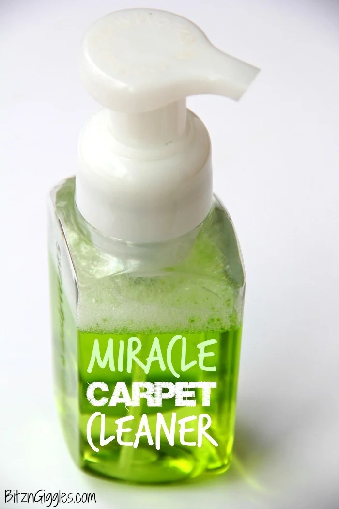 Miracle Carpet Cleaner Bitz & Giggles
