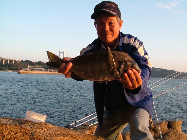 9月29日香川県丸亀沖高見島でヒラメ38.3cm