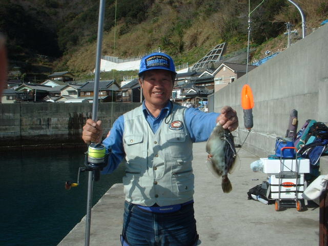 戸島のヒラメ