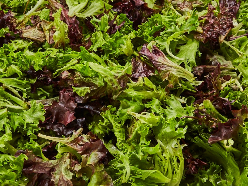 Leading Wholesale Vegetable Distributor BIX Produce