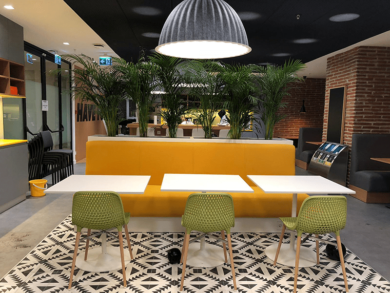 GENEL MÜDÜRLÜK Biyopeyzaj Peyzaj Tasarımı ve Projelendirme