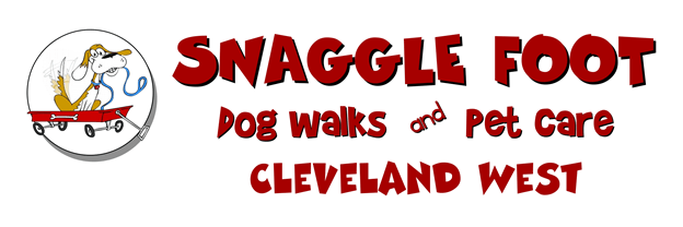 Snaggle Foot LLC Dog Walks & Pet Care® has a Highly Anticipated
