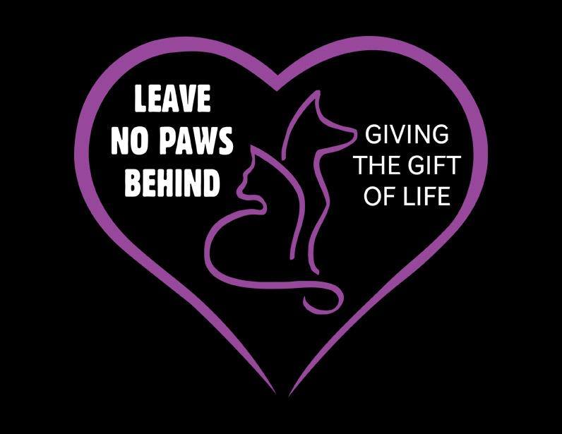 Local Nonprofit To Open Low Cost Veterinary Clinic In