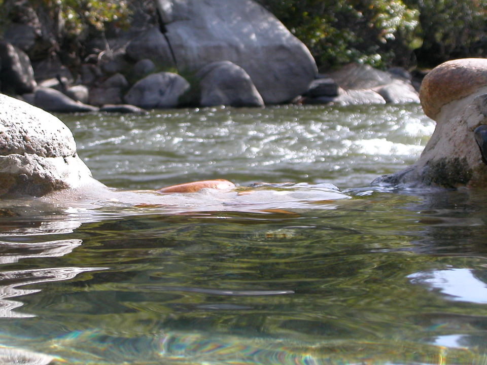 Rare Find Natural Hot Springs Resort Property! BIZ