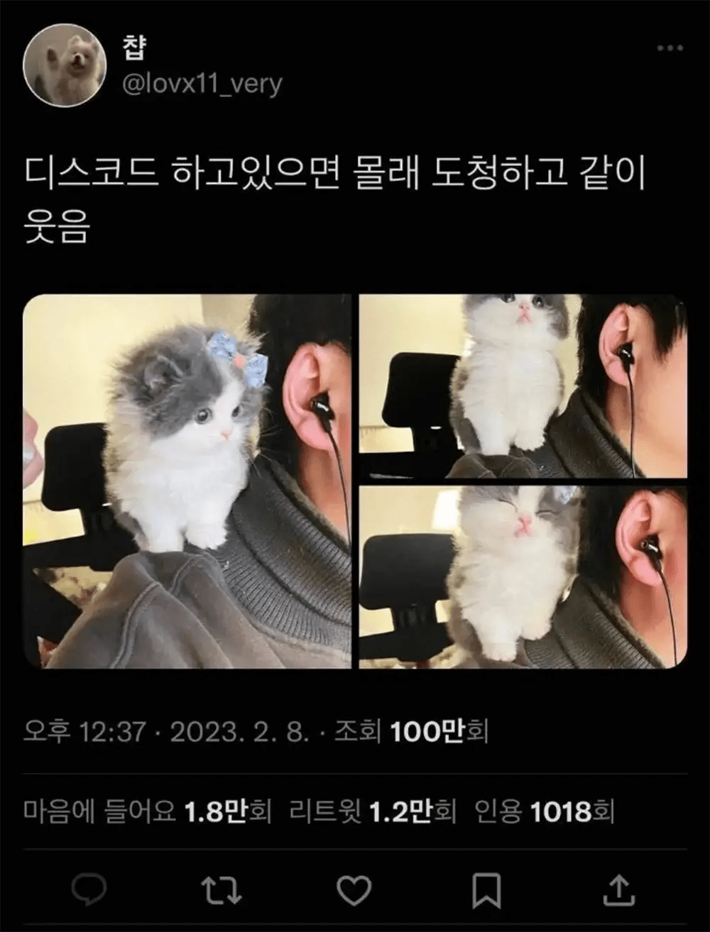 디스코드하면 도청하는 아깽이