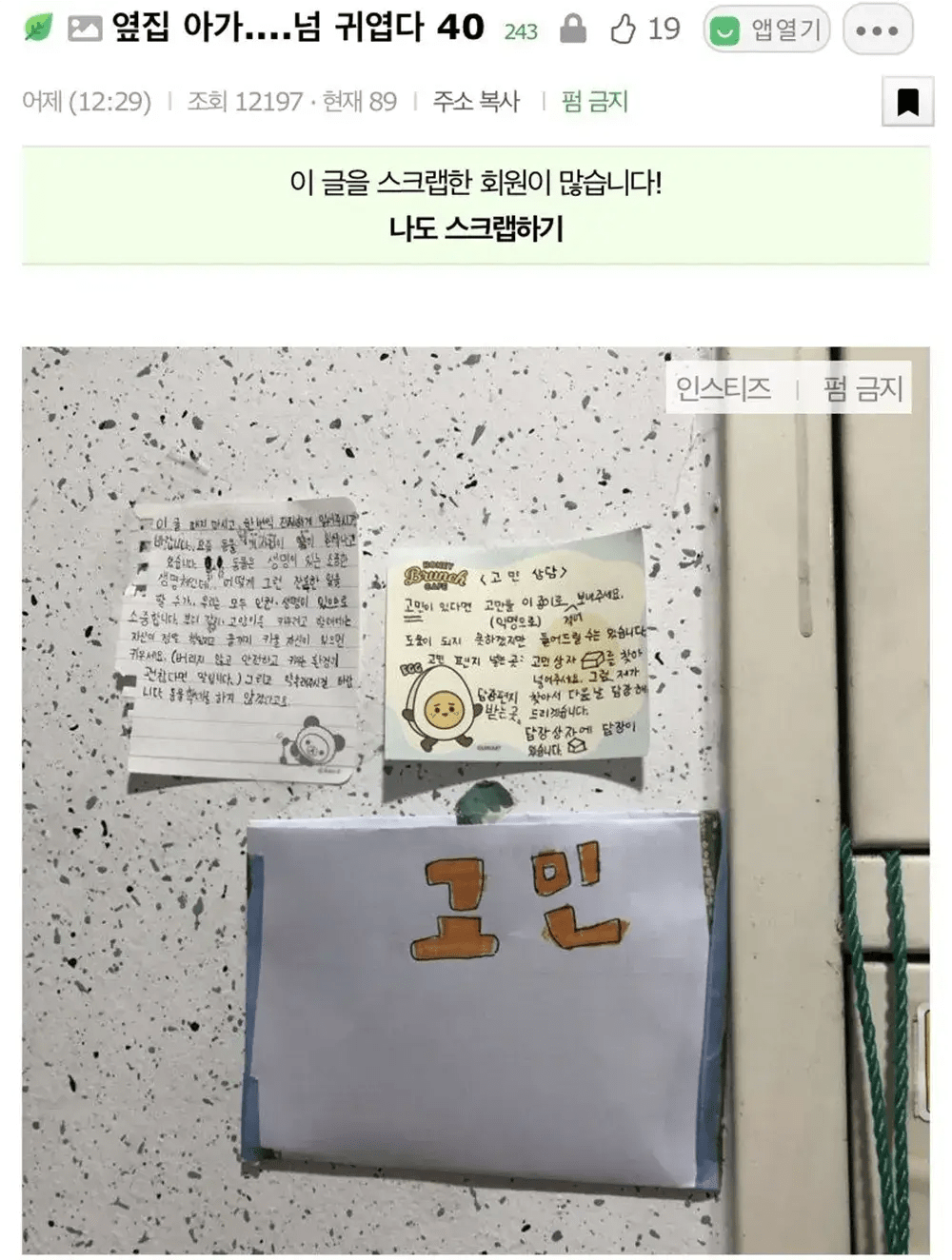 옆집 아기가 운영하는 익명 고민상담소