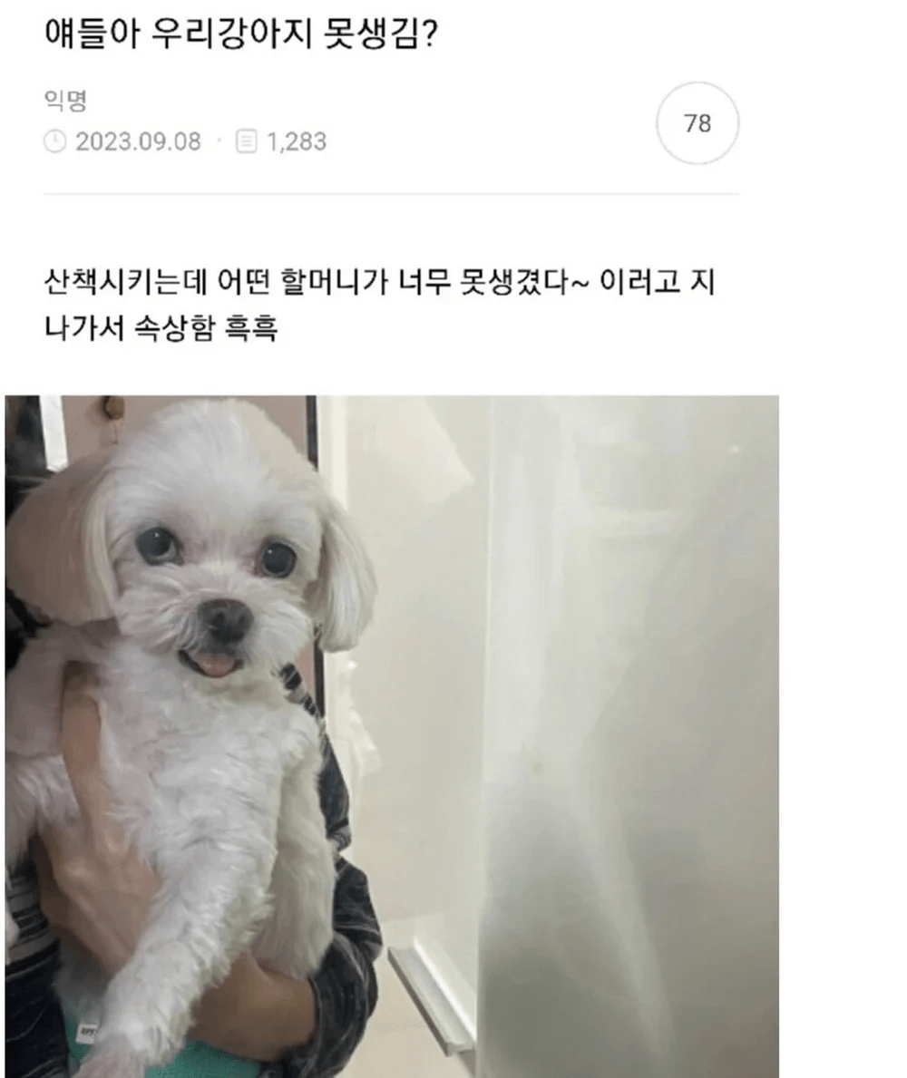 함 봐봐 우리 강아지 못생김?