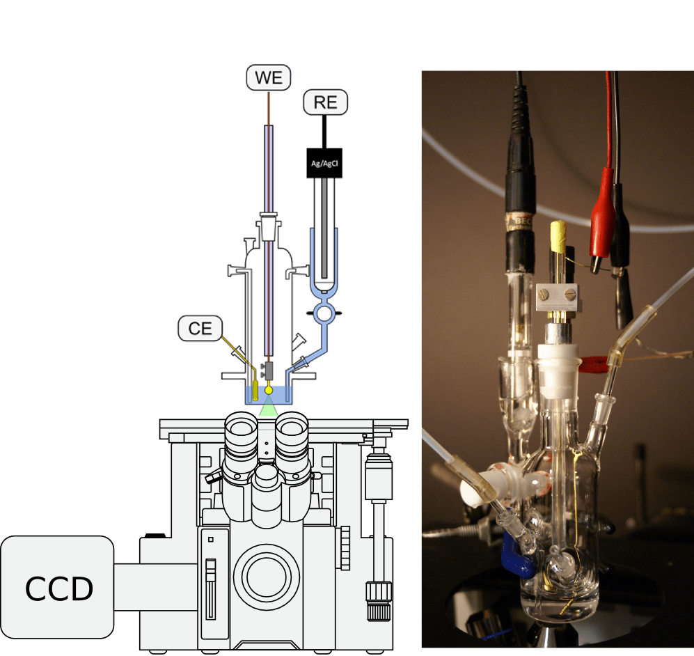 insitu Fluorescence Microscopy of Electrochemical Interfaces Electrochemistry