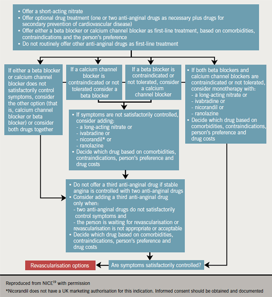 Chronic stable angina guidelines is there an emerging international