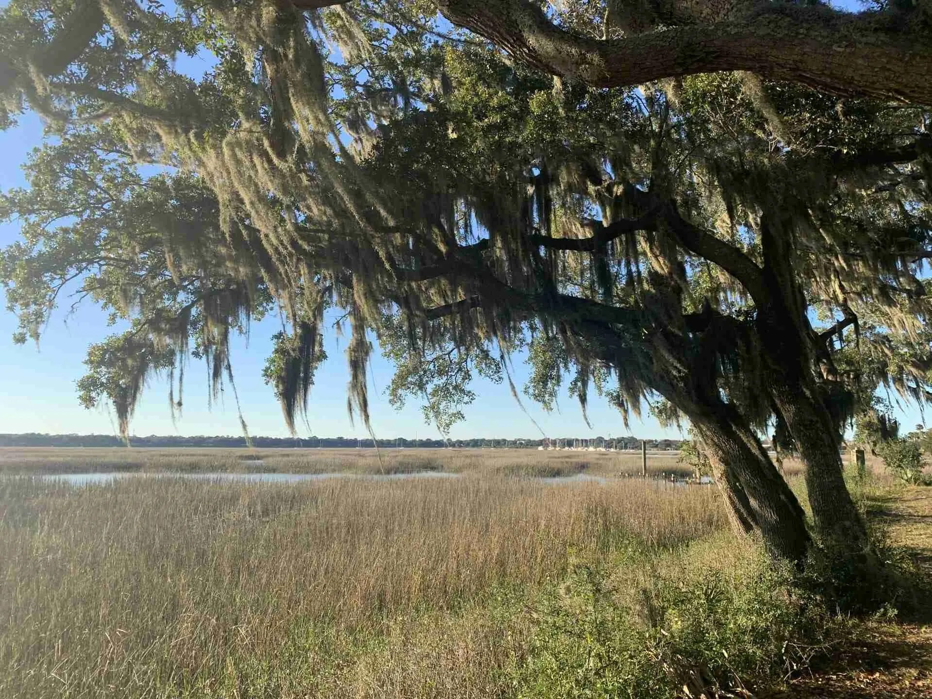 Member Search Beaufort Jasper County Realtors