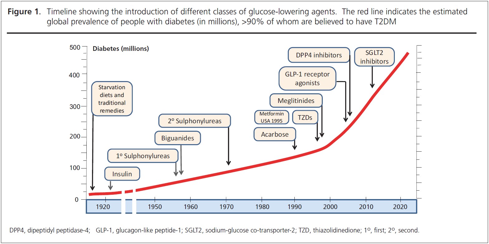 View of The origins of type 2 diabetes medications British Journal of