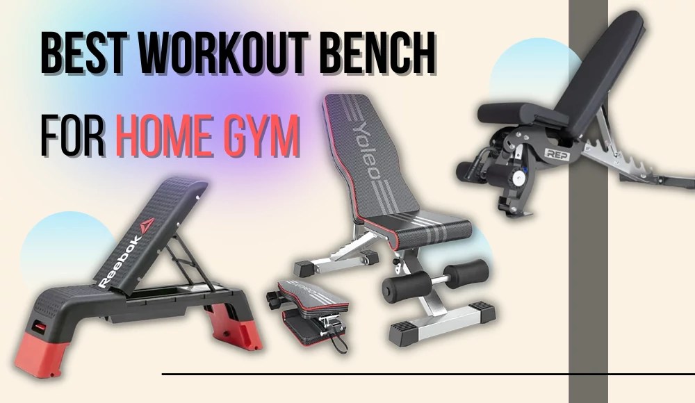 Best Workout Bench [Reddit Top 6 Picks] BJJaccessories