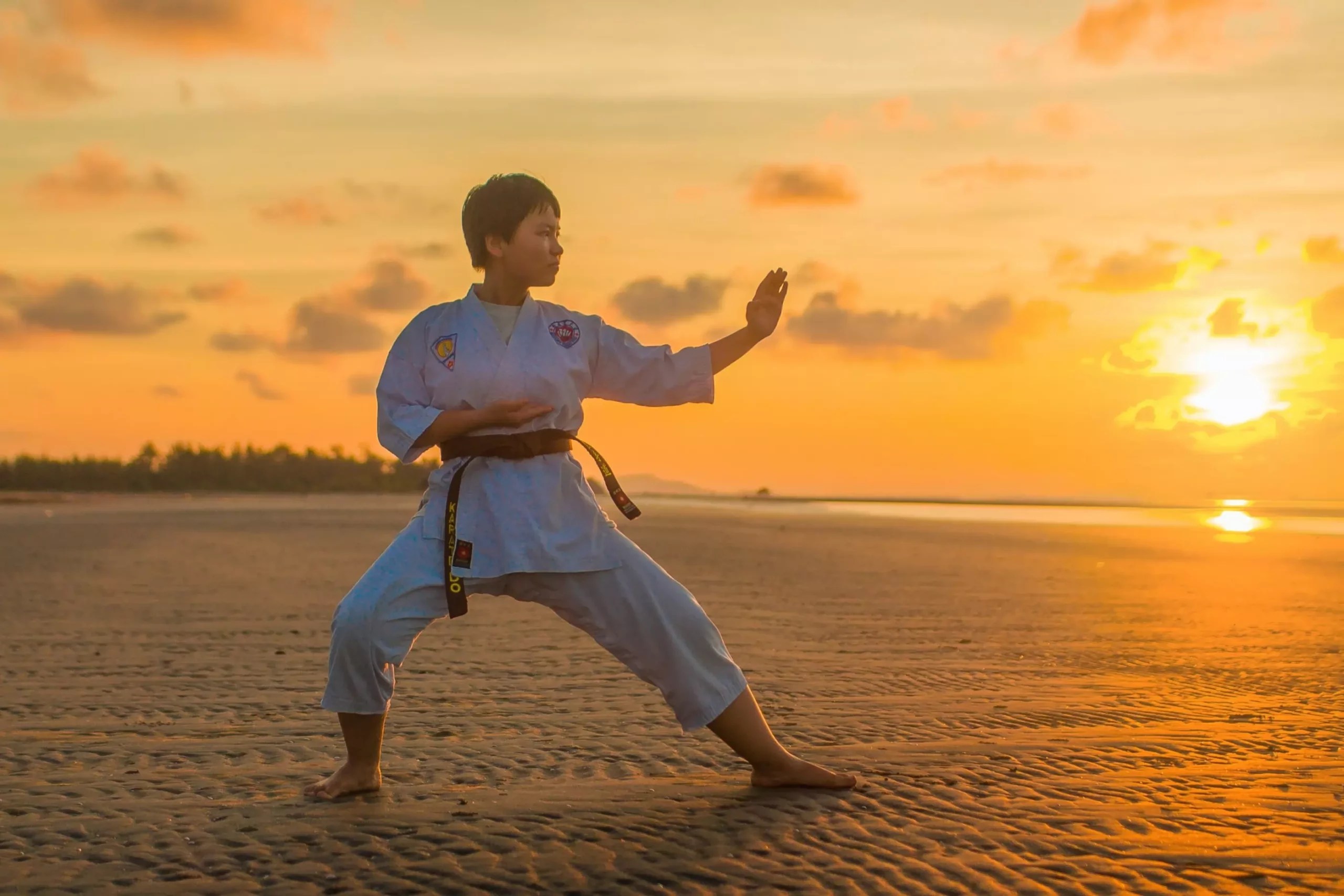 Jiu Jitsu vs Karate Which one is More Effective in Real Life?