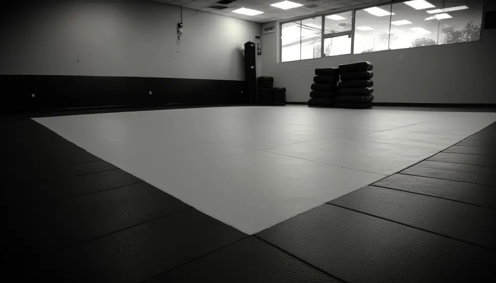 How Much do Jiu Jitsu Classes Cost? 6 Pricing Factors Revealed