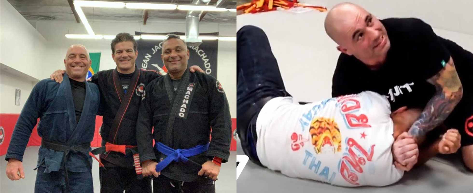 Joe Rogan beginners start training BJJ just 2 times a week