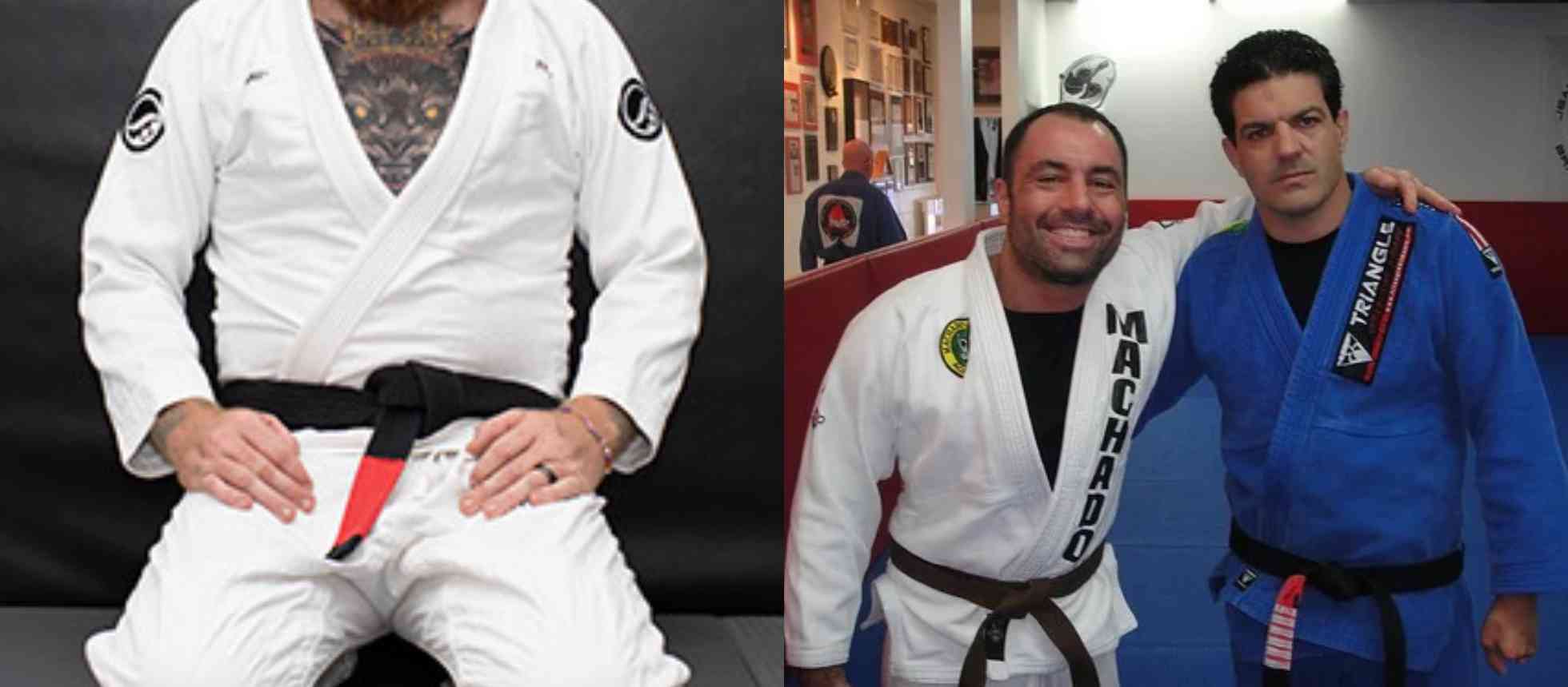 When Joe Rogan explained what's the difference between training BJJ and
