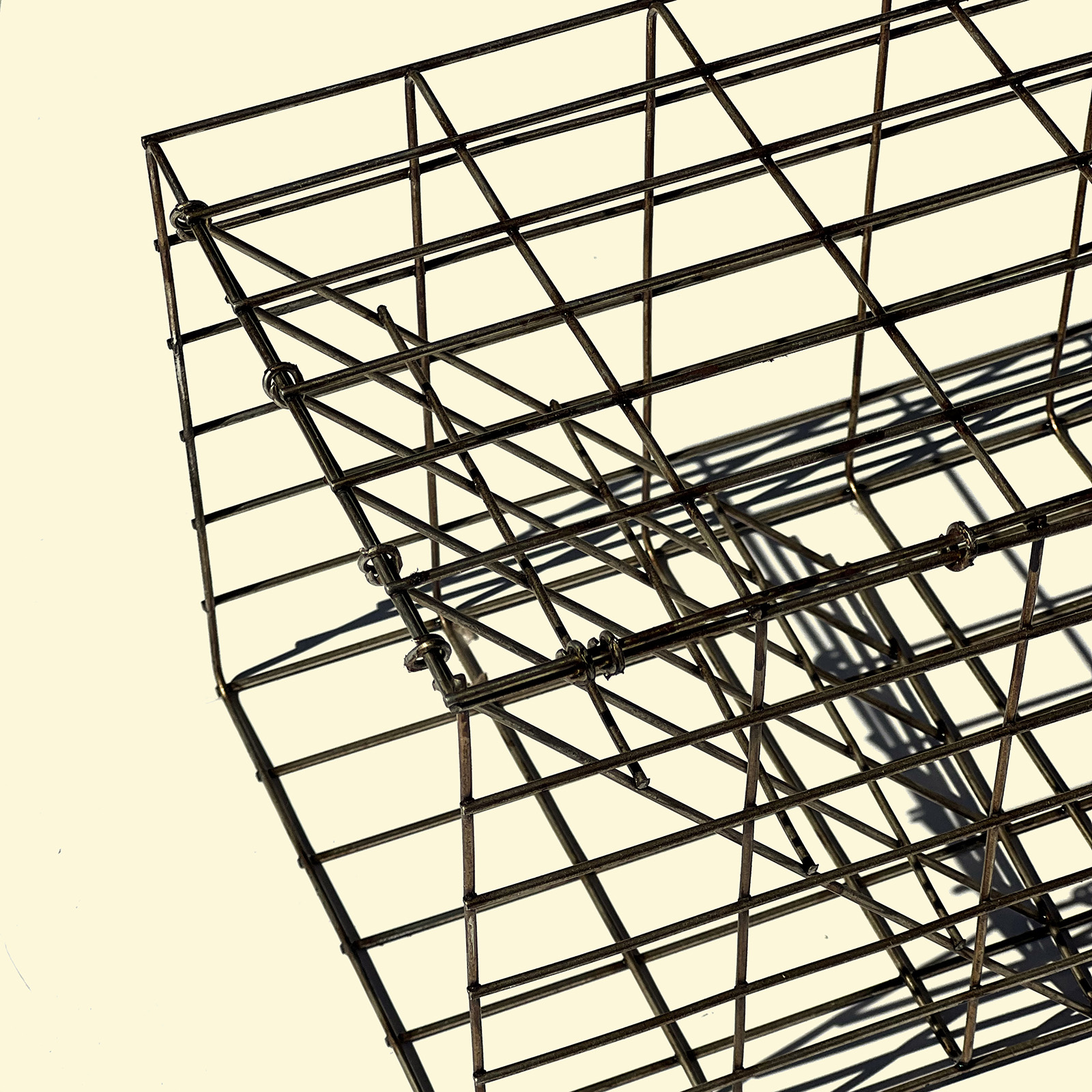 Muskrat Trap Bjornsen Pond Management