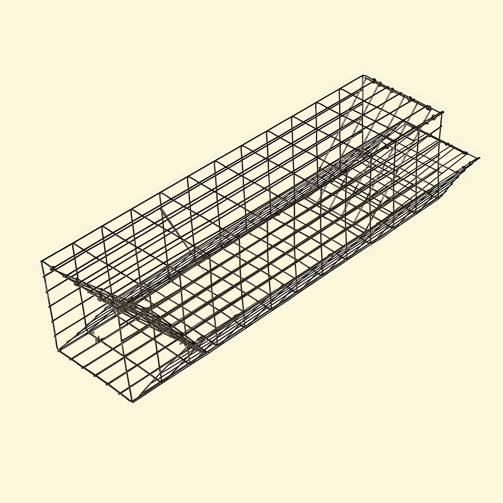 Muskrat Trap Bjornsen Pond Management