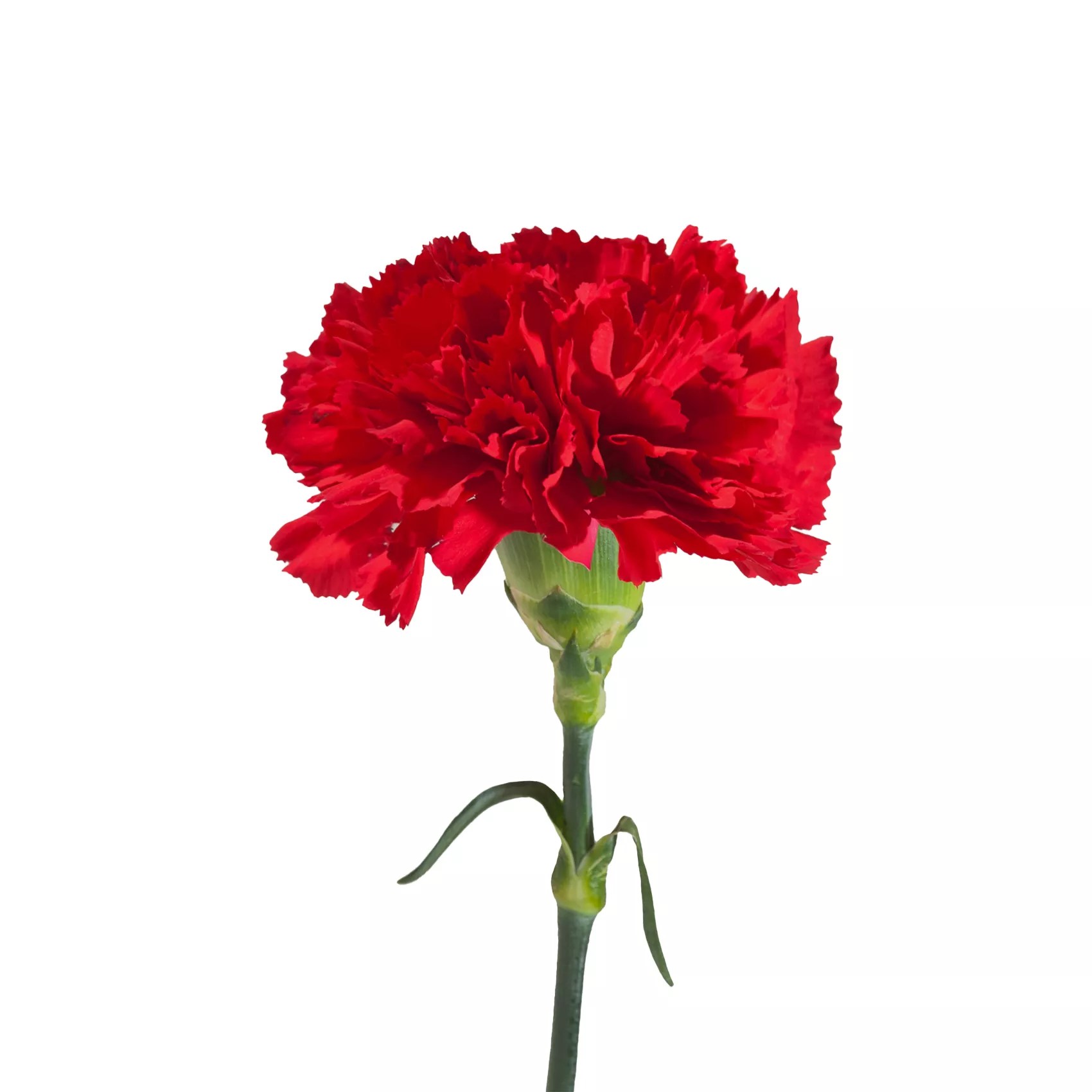 Perversion Waterproof Mascara ubicaciondepersonas.cdmx.gob.mx