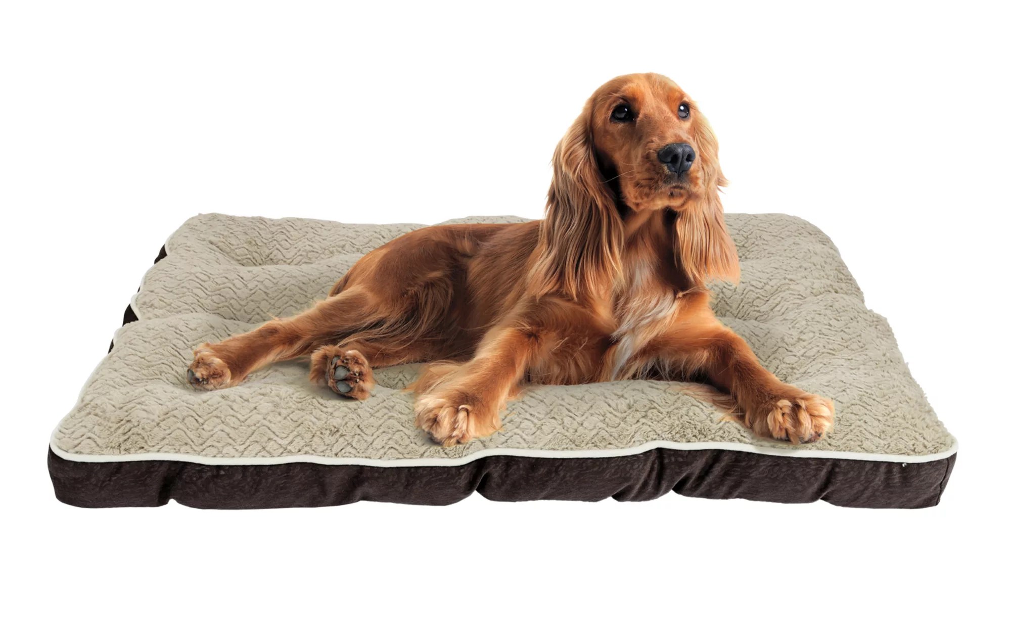 Berkley Jensen 29" x 39" Deluxe Plush Pet Bed Assorted BJs