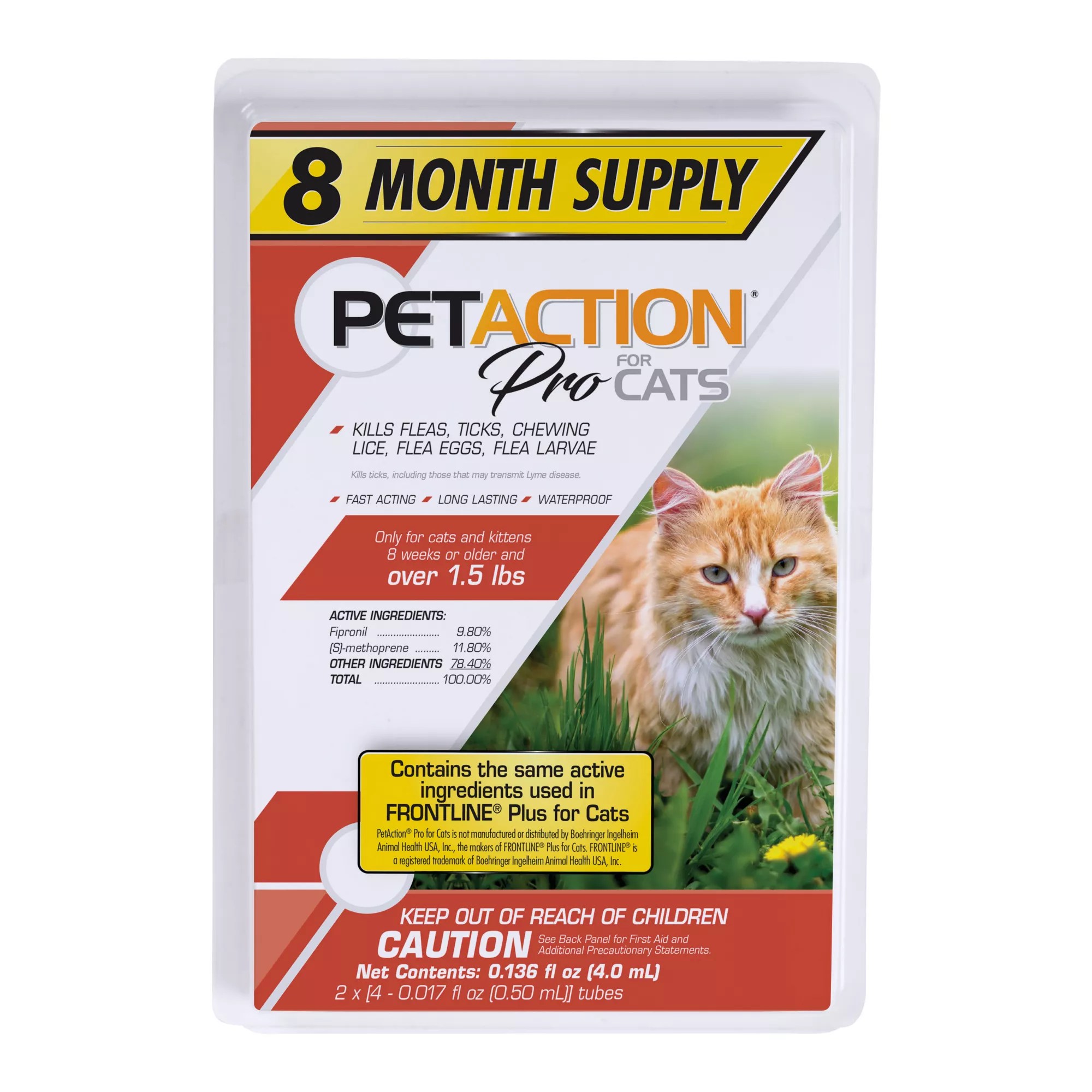 Flea Eggs On Cats