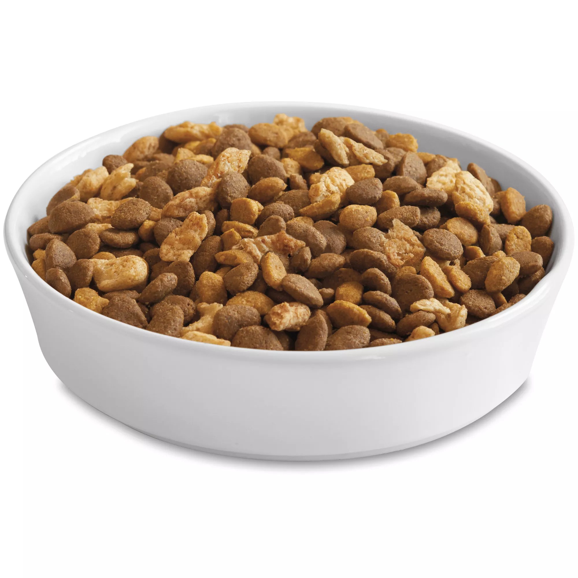 Purina Dry Cat Food