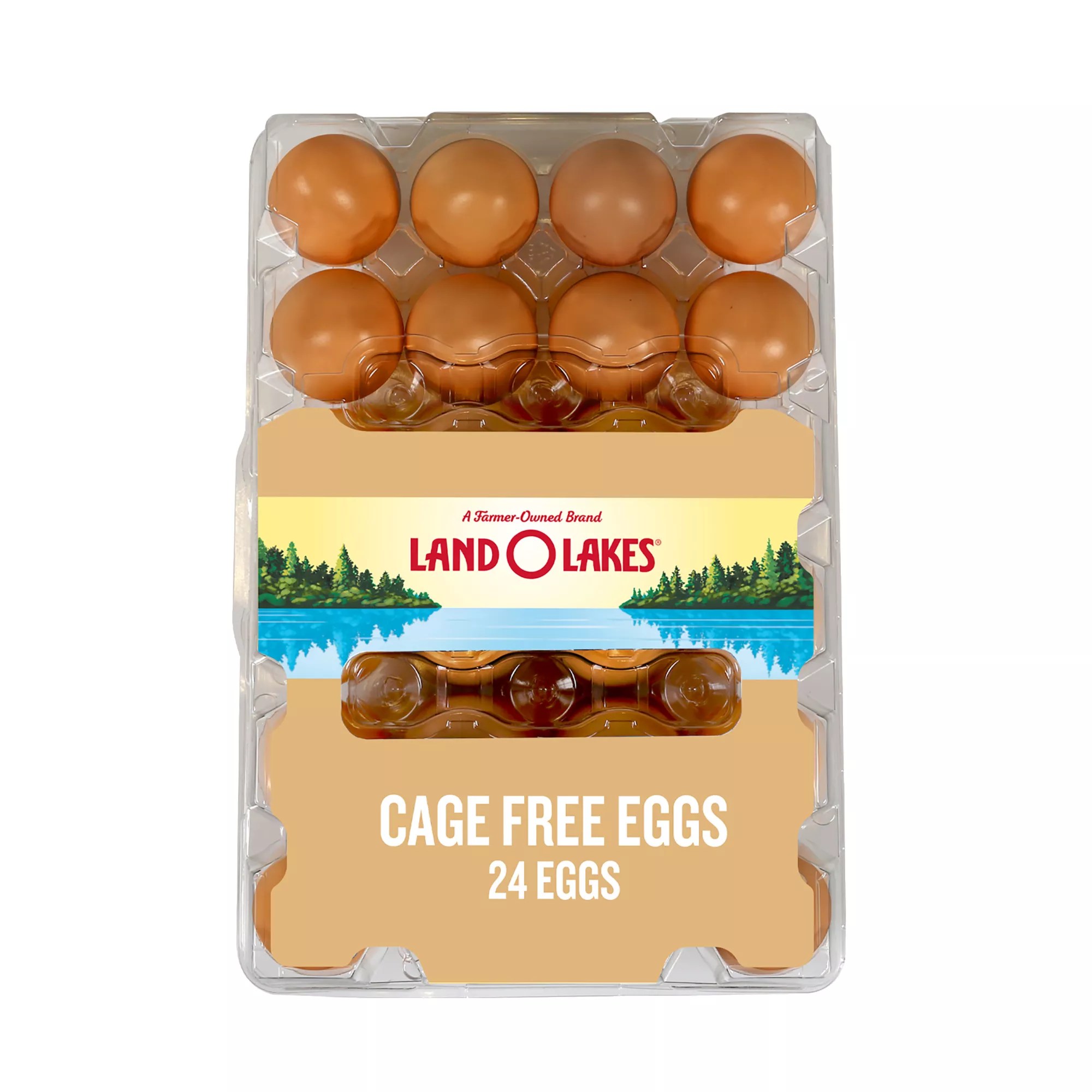 Land O Lakes Large Brown Cage Free Grade A Eggs, 24 ct. BJ's