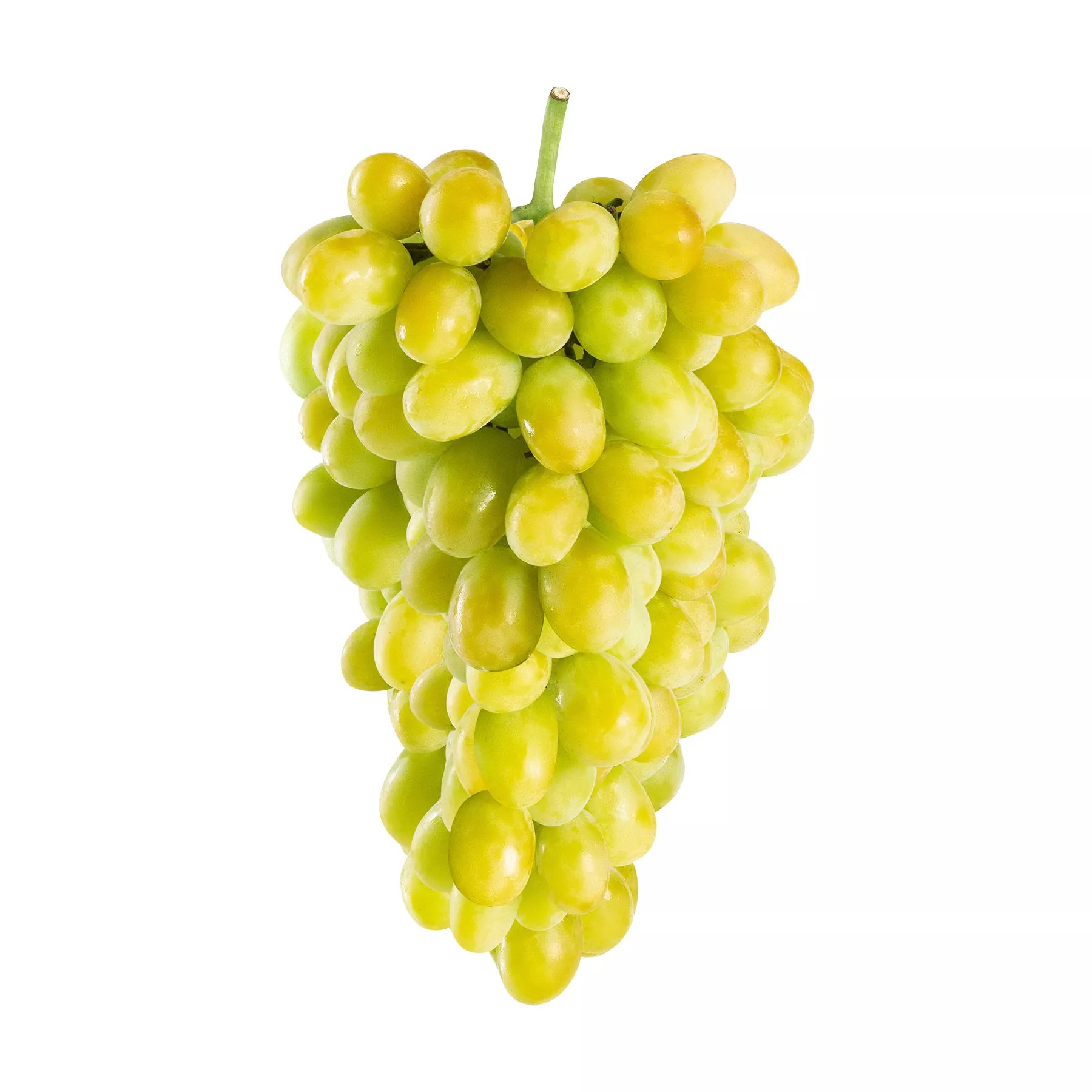 Fresh Cotton Candy Grapes Lbs Short Season!Standard, 58 OFF