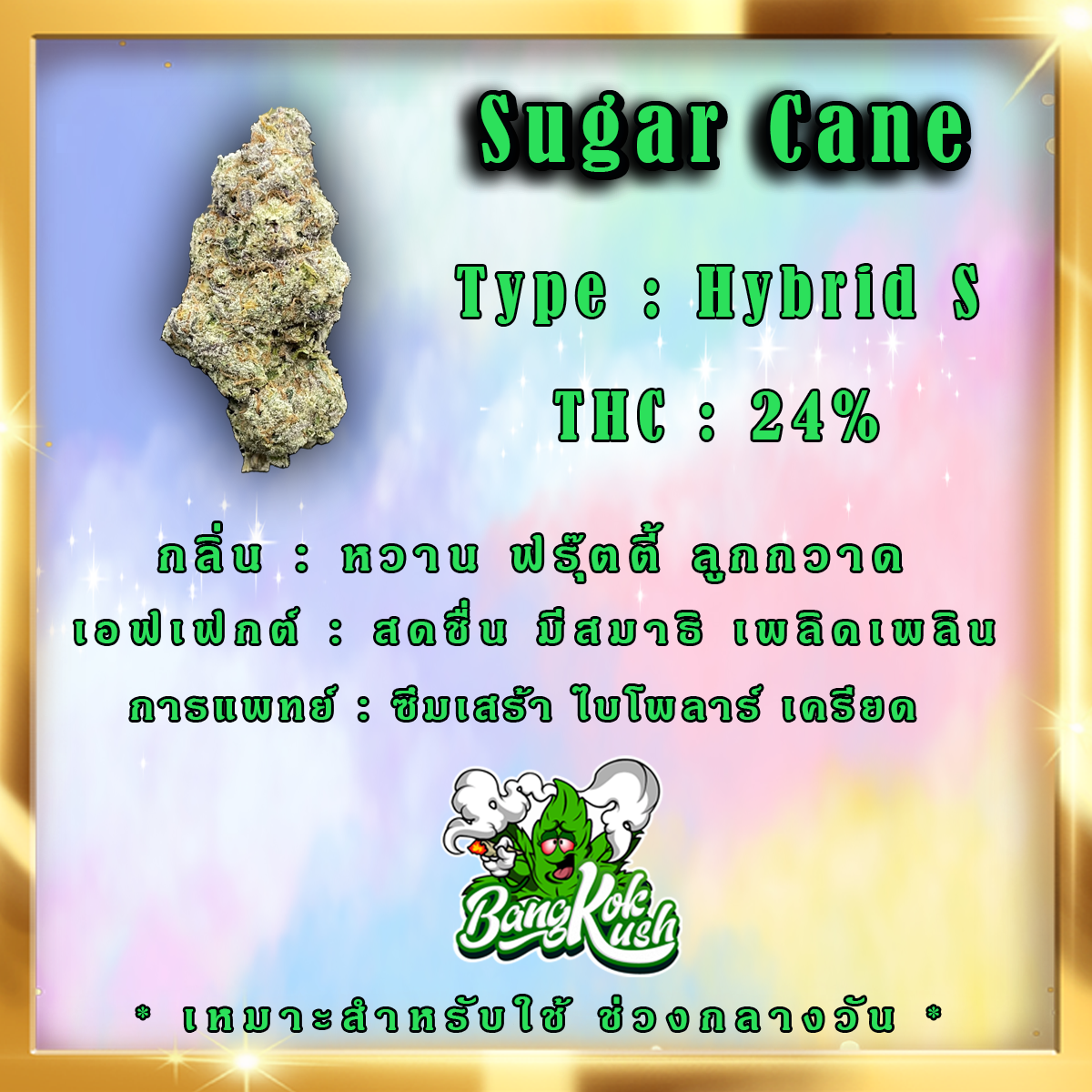 Sugar Cane Bangkok Store