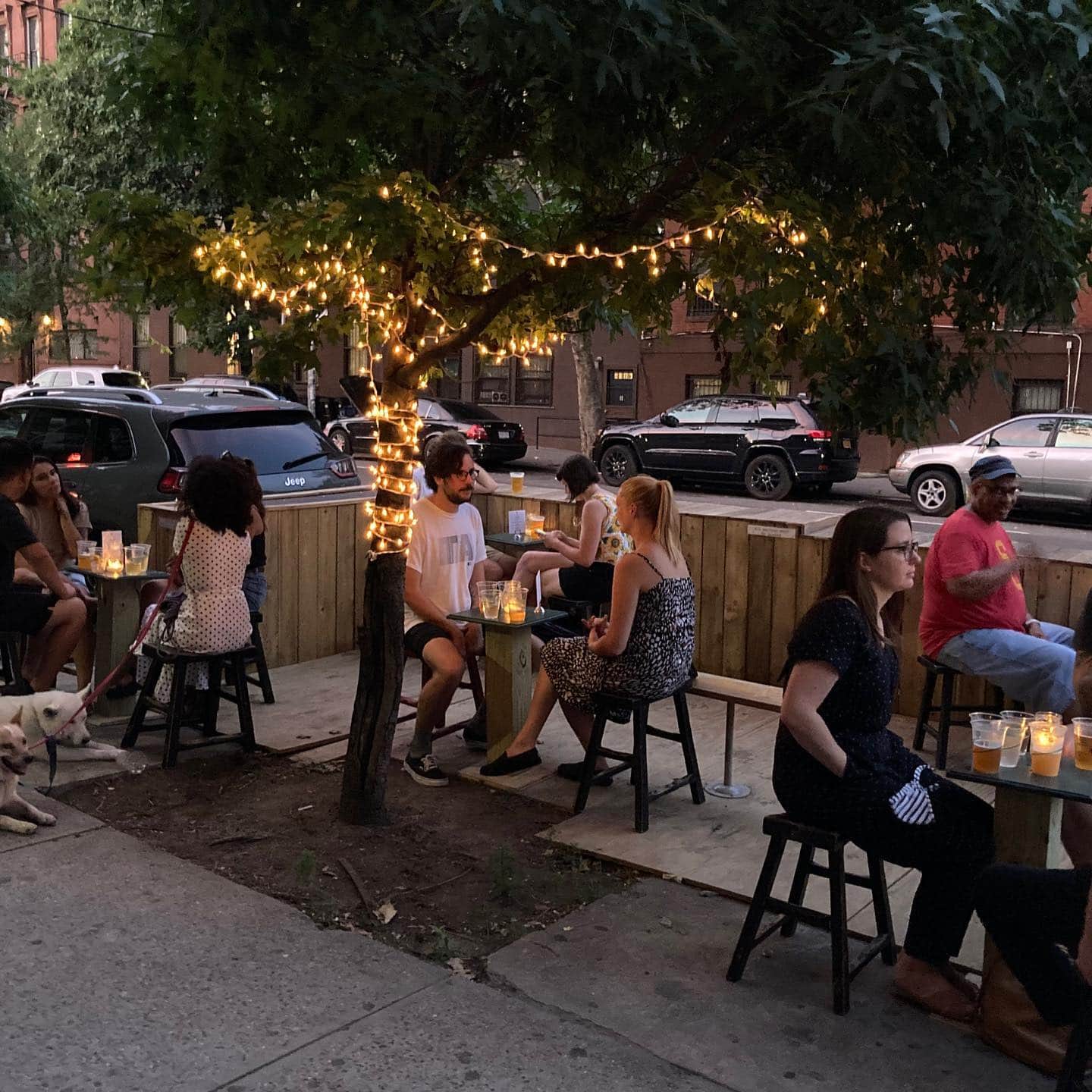 Top 15 Bed Stuy Bars To Drink At Bklyn Designs