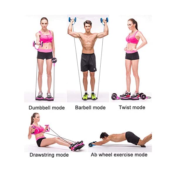 Double AB Roller Fitness Wheel Multi Function Foldable for Abdominal
