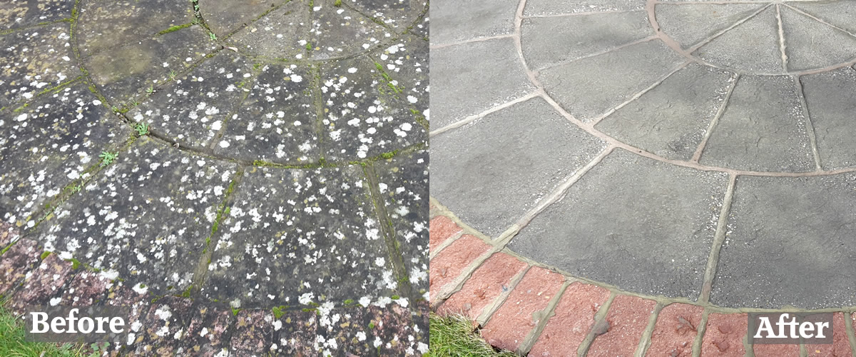 Home Blackspot Lichen Treatment