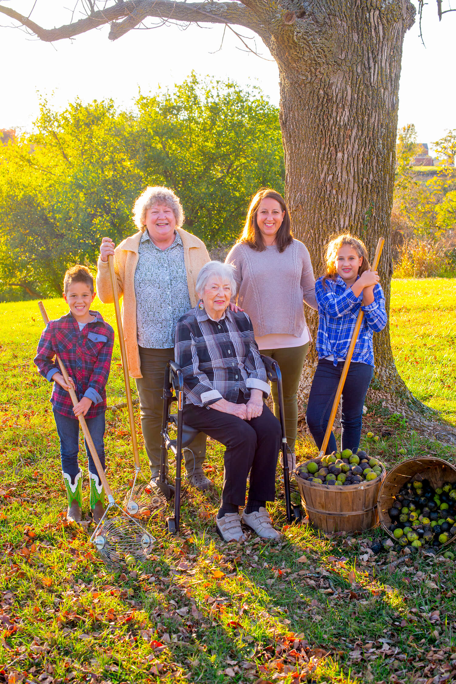 Discover Harvesting and Hulling Hammons Black Walnuts