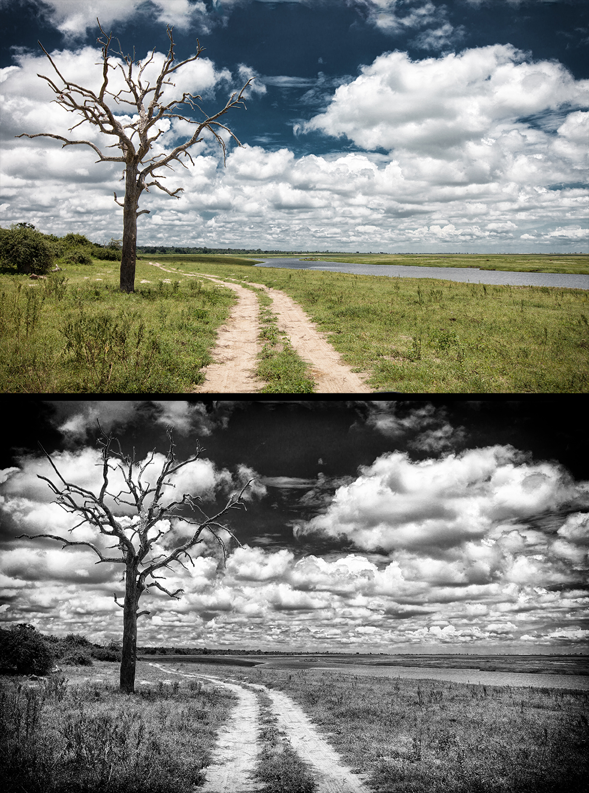 Difference between black and white and color black and white photos