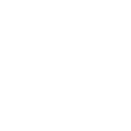 Black Belt Movers Professional Moving Company Local and Long Distance