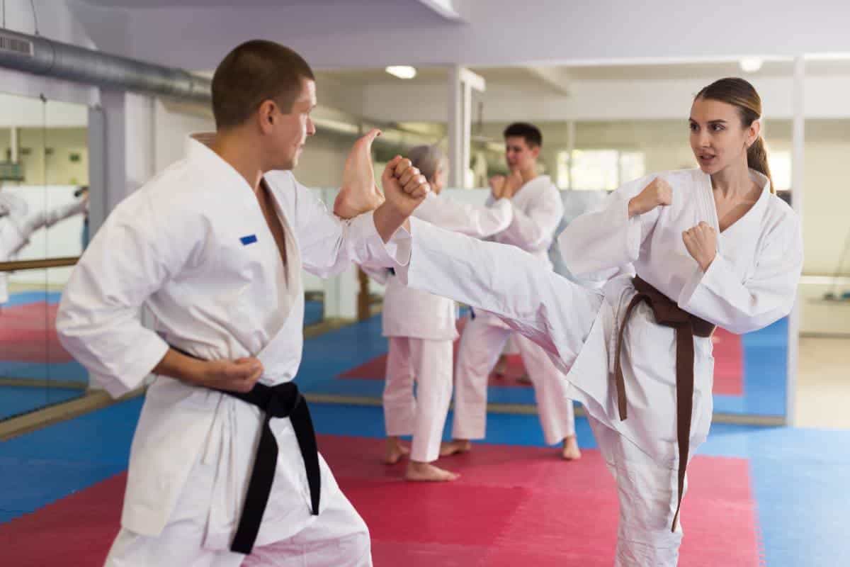The Ultimate Beginner’s Guide to Doing Judo Flips Black Belt Trek