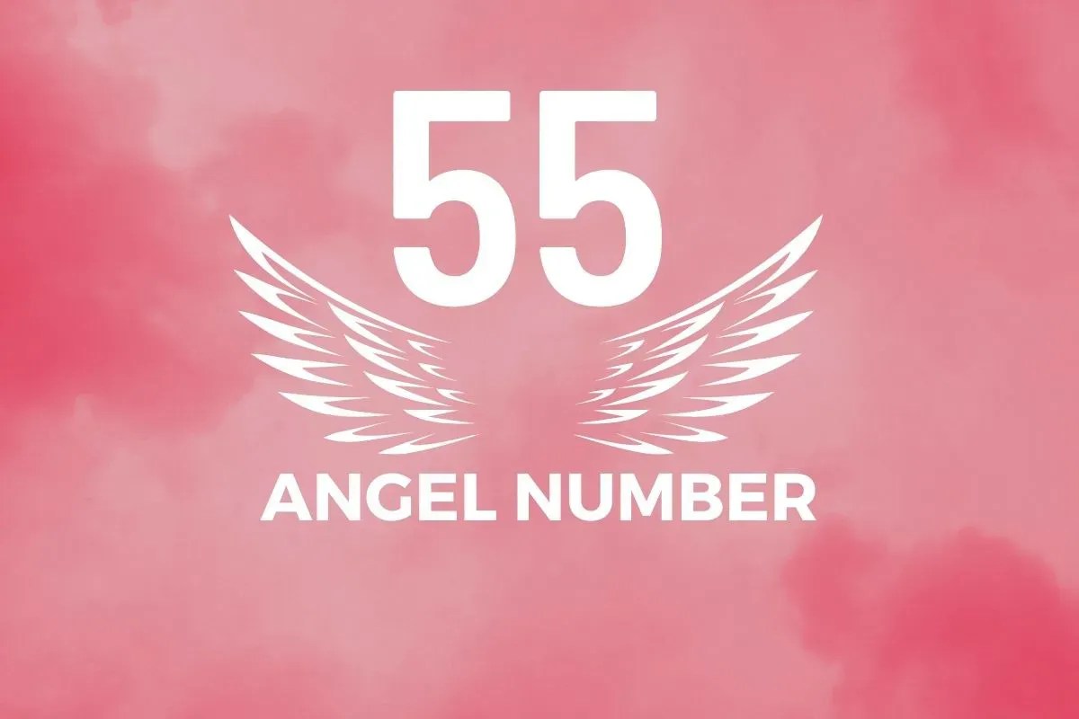 Angel Number 55 Meaning And Symbolism Blackbird