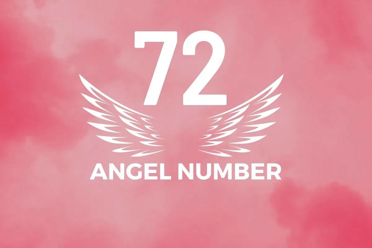 Angel Number 72 Meaning And Symbolism - Blackbird