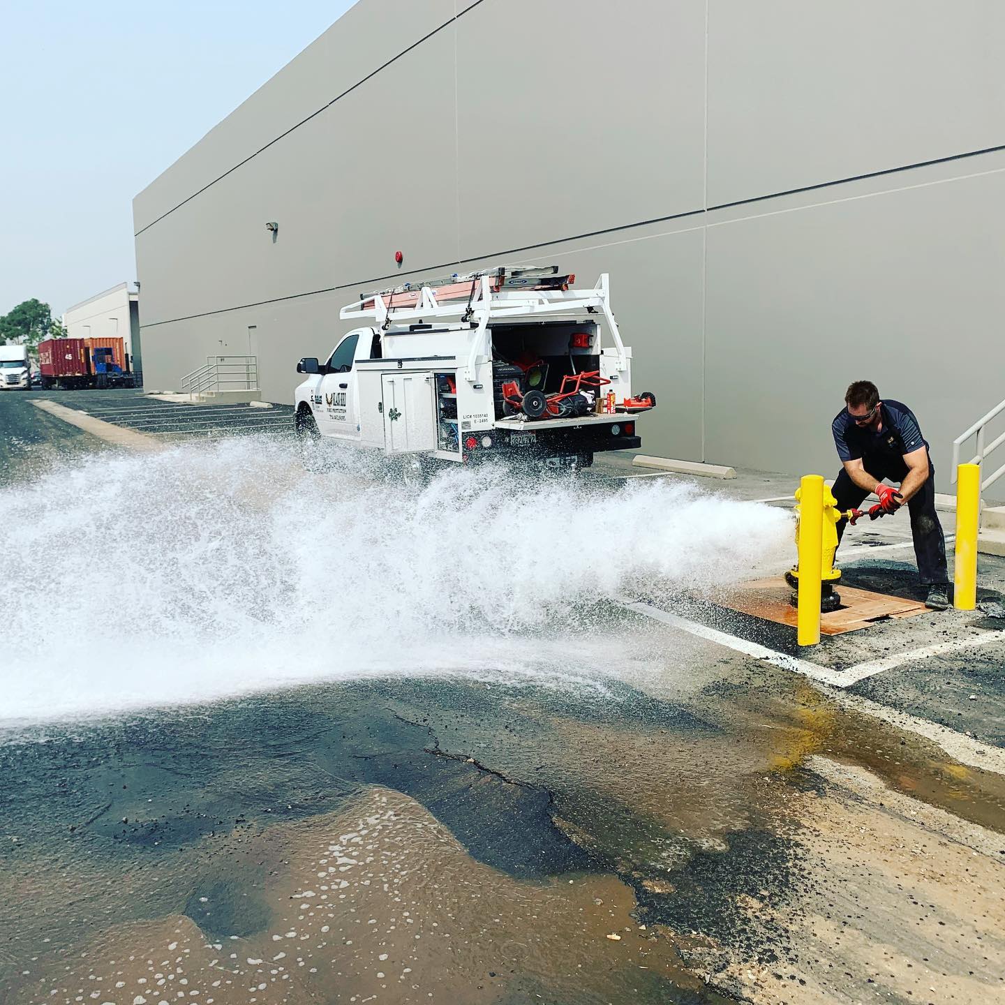 Fire Hydrant Services Fire Hydrant Inspections Black Bird